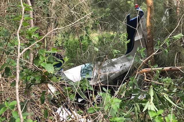 The damaged tail and wing of a plane on the ground in the bush.