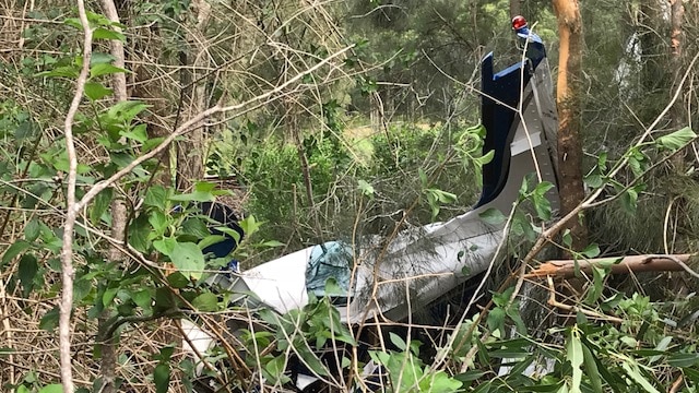 The damaged tail and wing of a plane on the ground in the bush.