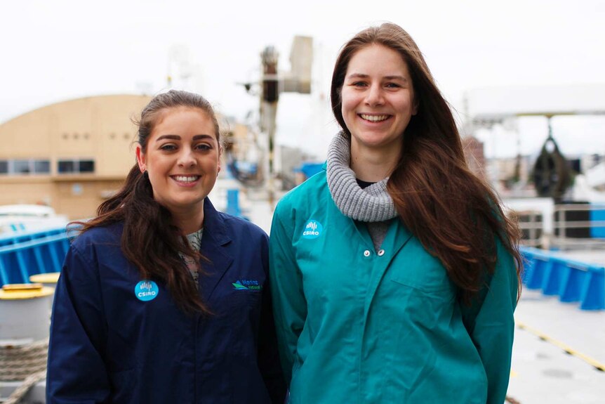 UTAS students Sheridan Barrett and Alice Wanders at the dolphin dissection.