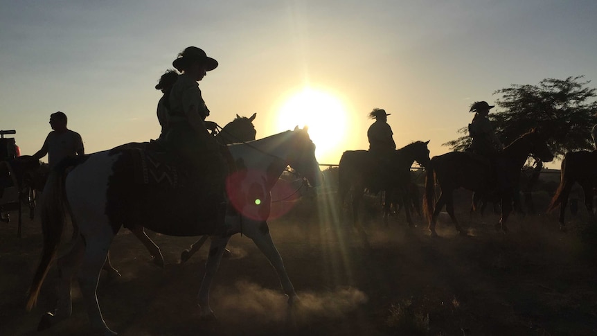 Riders in front of the sunset in Beersheba