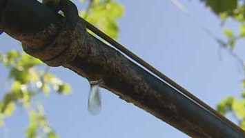 Water dripping from irrigation tube landline