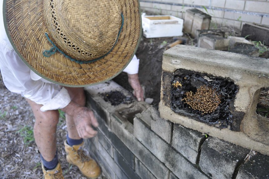 Man bending over lifting a brick with a bee hive inside.