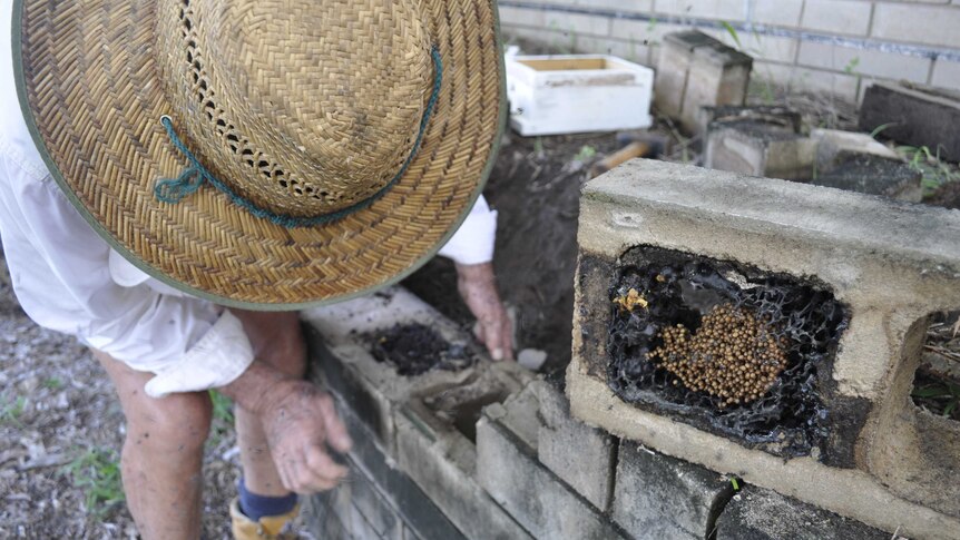 Man bending over lifting a brick with a bee hive inside.