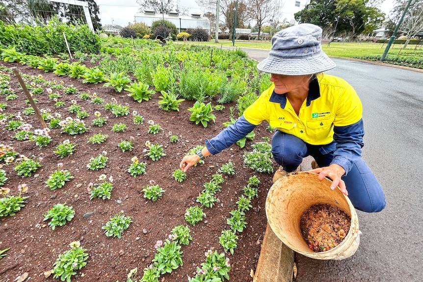 A woman in hi viz workwear holds an bucket and tends to plants in a park