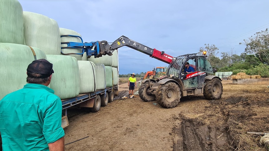 Bales on truck being lifted off by forklift