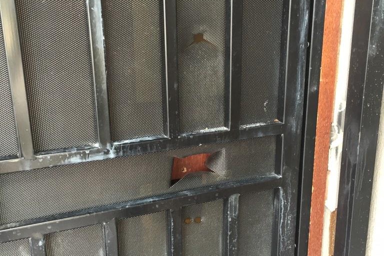 Gun shot holes in door in home in Auburn