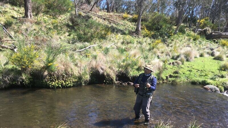 Scott Levi in a stream casting with a fly rod