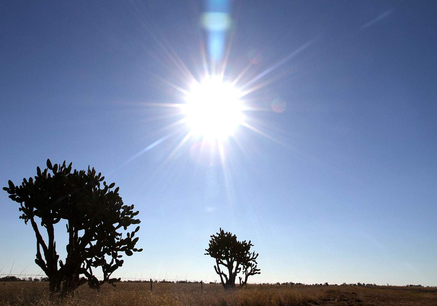 Sun beams down on outback landscape in central-west Queensland in March 2015