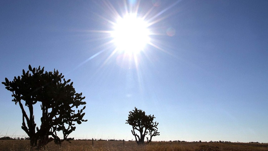 Sun beats down on an exposed outback landscape.