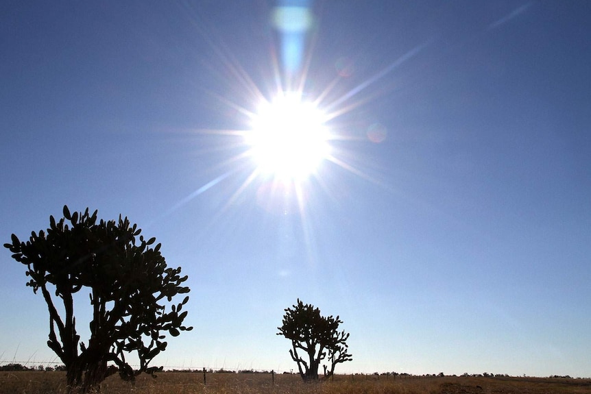 Sun beams down on outback landscape in central-west Queensland in March 2015