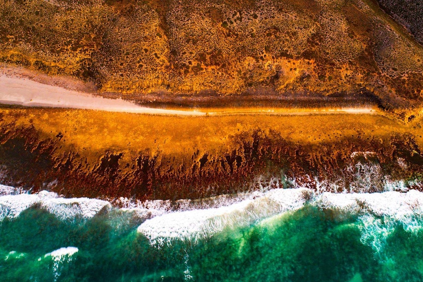 Drone photograph of Australian coastline