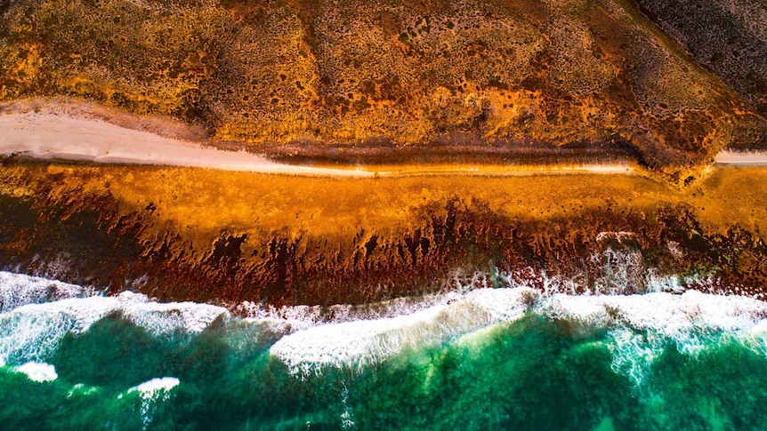 Drone photograph of Australian coastline