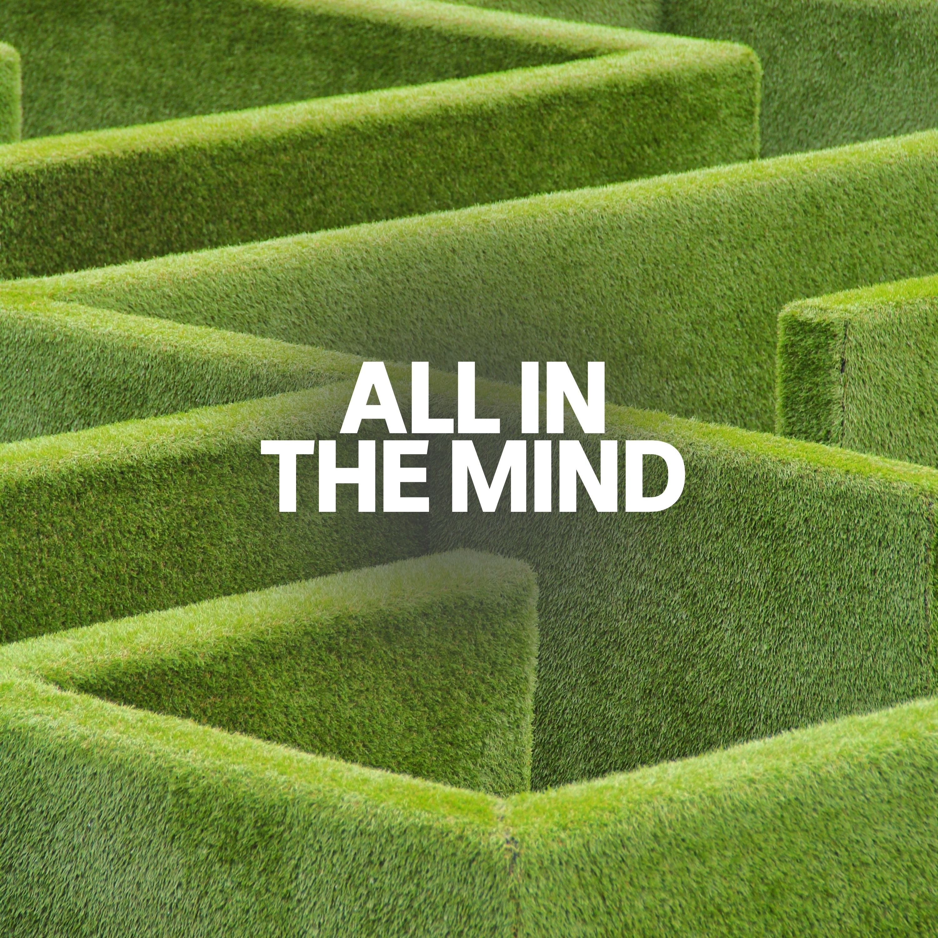 A hedge maze.