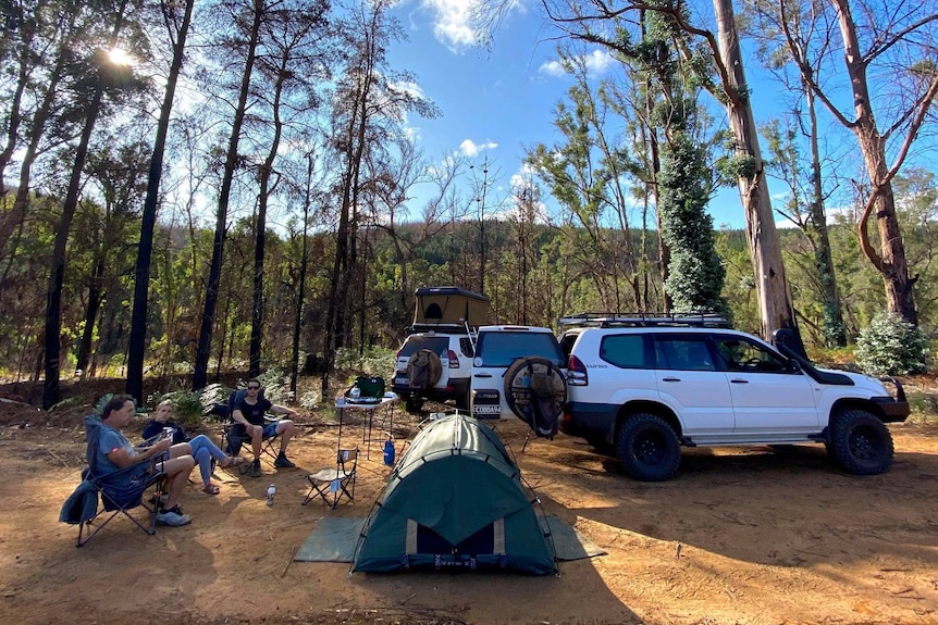 A group of campers in the middle of a forest with their cars and swags set up.