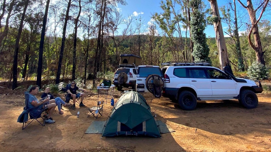 A group of campers in the middle of a forest with their cars and swags set up.