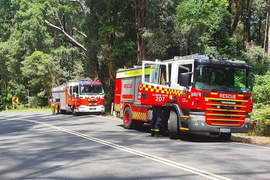 Two fire trucks on the side of road in a forrest