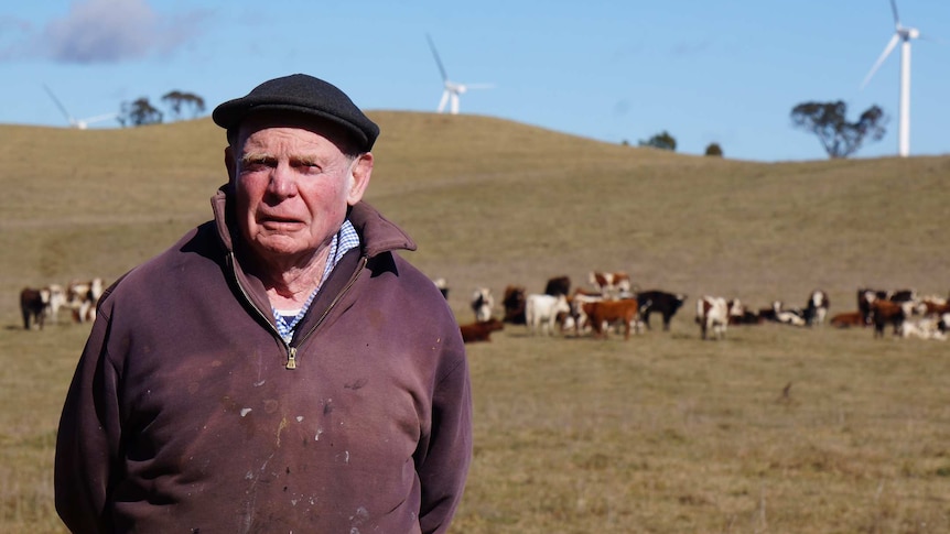 Farmer John Carter stands in front of some cattle and wind turbines near Crookwell.