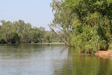 A river with trees along the banks.