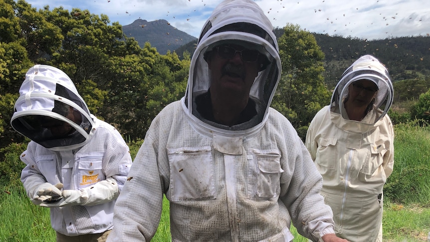 man in bee suit standing holding bee frame with other people in bee suits in the background