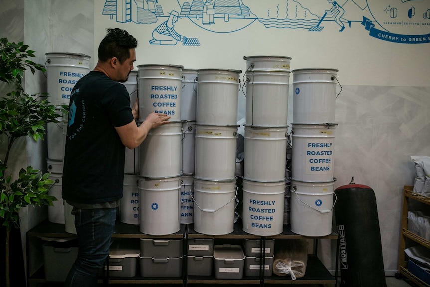 A man stands stacking coffee bean cylinders