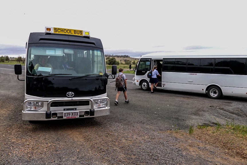 Two white school buses meet on the edge of the highway