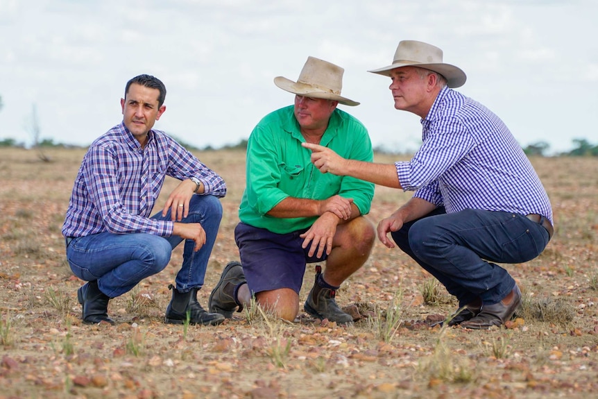 David Crisafulli, Boyd Webb and Lachlan Millar kneeling in a paddock