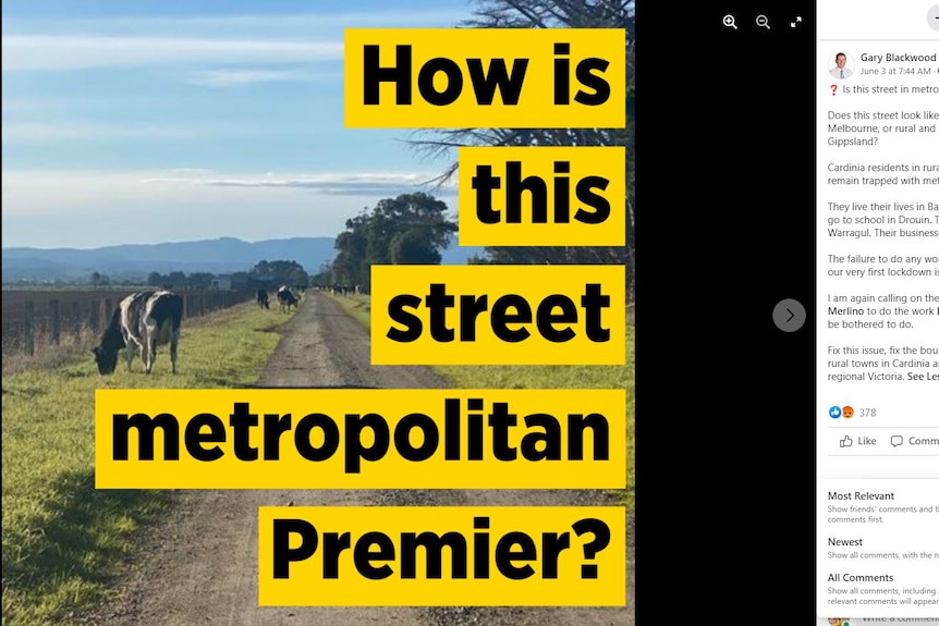 Text reading 'how is this street metropolitan, Premier?' against a image of cows on a rural road