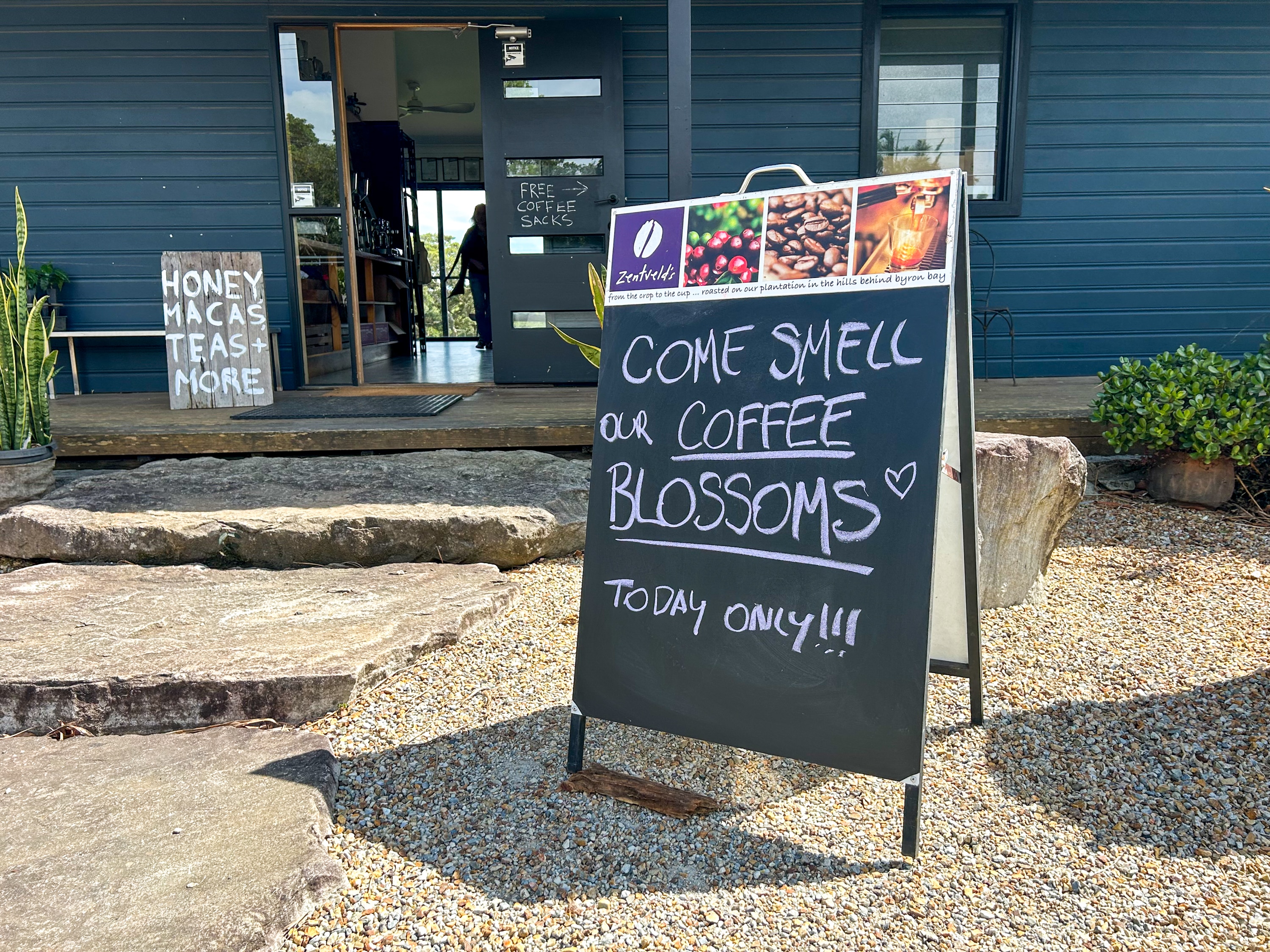 Un cartel invita a los visitantes a oler las flores del café.