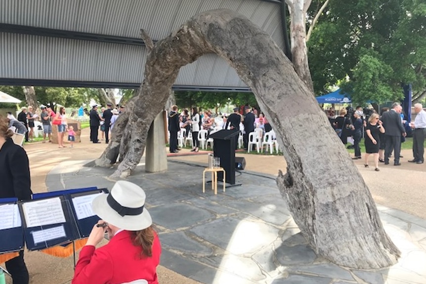 People gather near the old gum tree under its canopy.