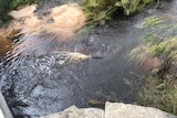 A stream of running water.