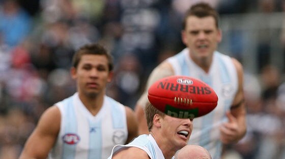 Cool under pressure: Paul Chapman had 37 disposals for Geelong.