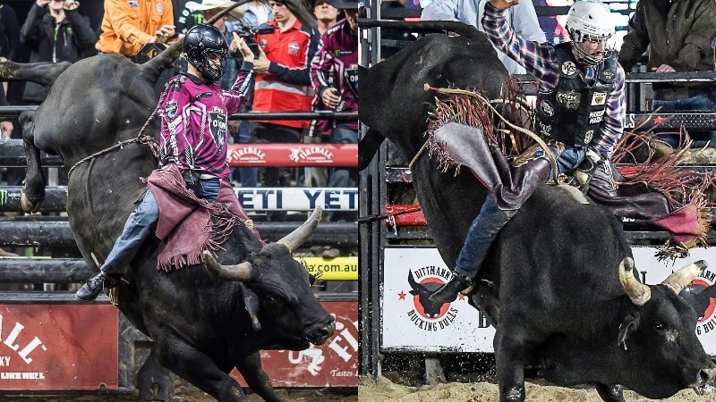 two images each of men riding bulls at a rodeo