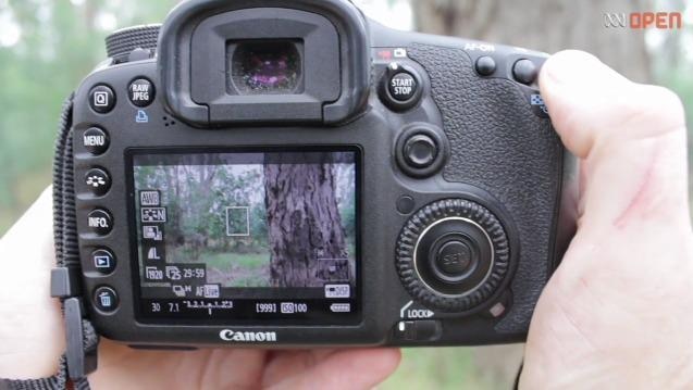 Hands hold digital camera, view of tree through small screen