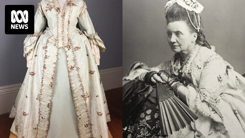 Tasmania's oldest dress owned by artist Louisa Anne Meredith, an 'exquisite piece of history'