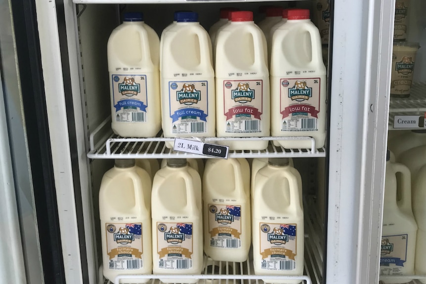 A fridge filled with two litre milk bottles.