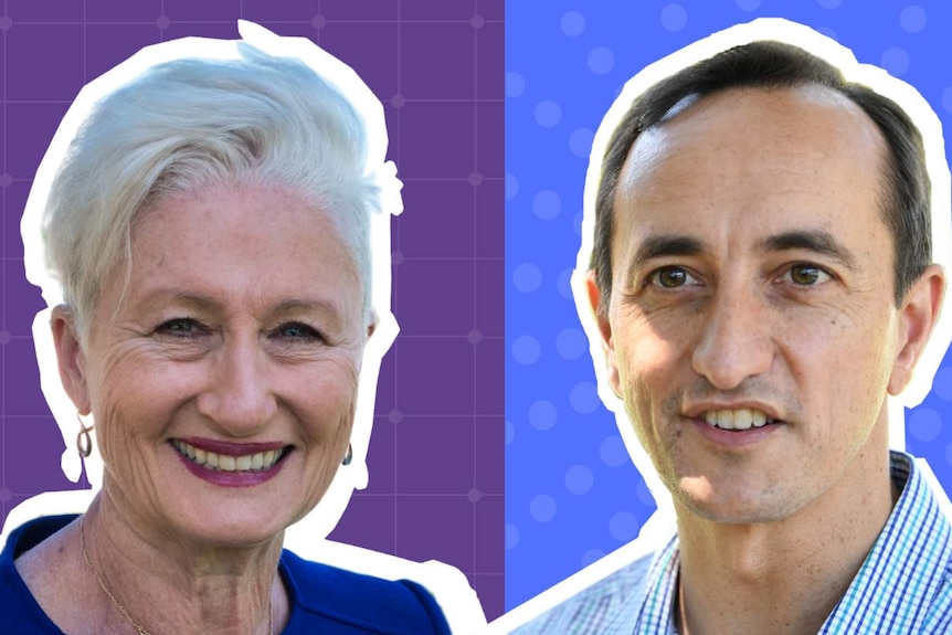 Kerryn Phelps against a purple background, Dave Shrama against a blue backdrop