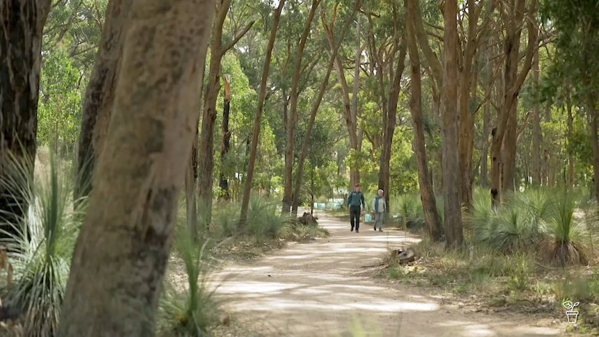 A man and a woman walking along a path in bushland.