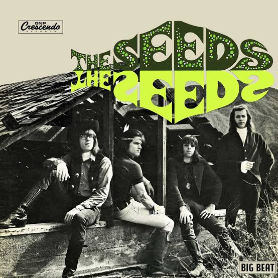 The band members sit outside a low wooden shelter