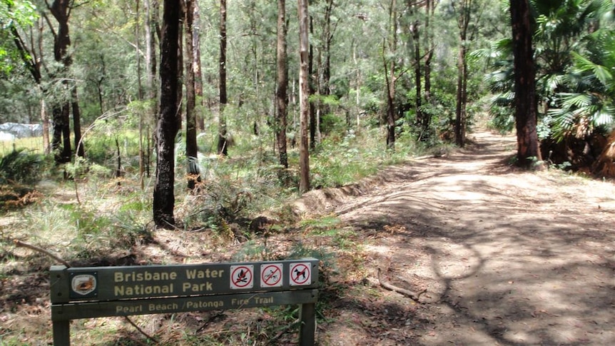 Bushwalkers spend night out