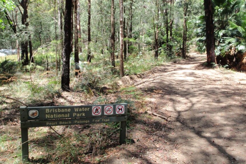 Bushwalkers spend night out
