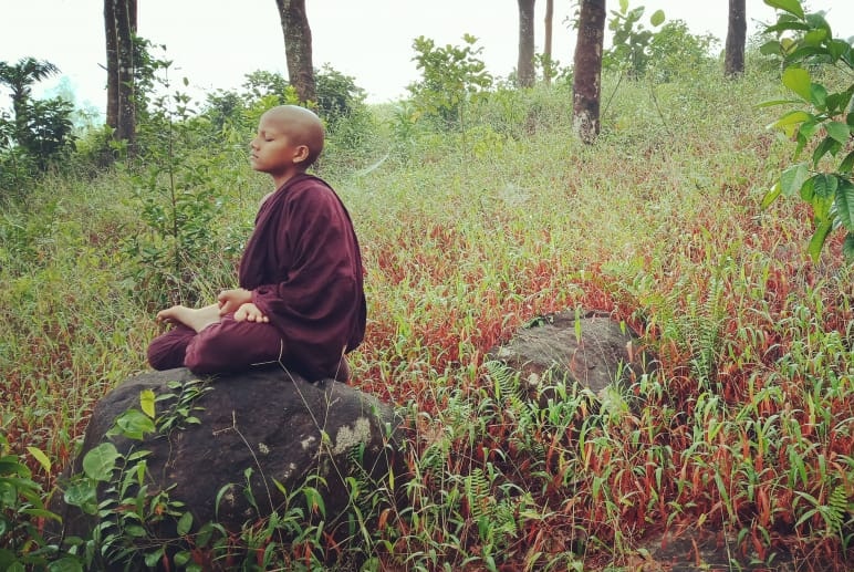 Monk sits on a rock cross-legged in long, green and red grass.