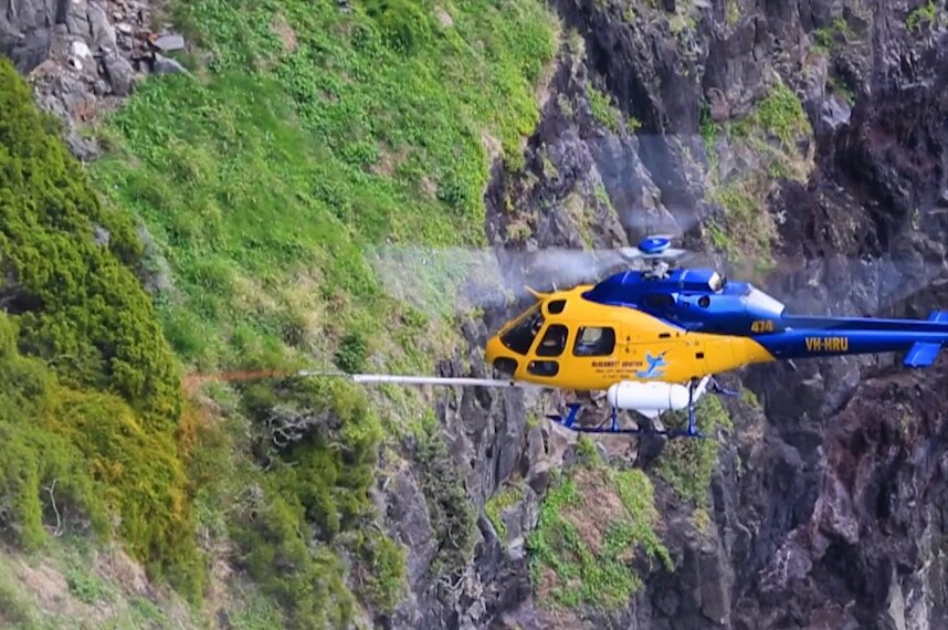 Helicopter over rocky outcrop of Lord Howe Island  illustrating our Gardening Australia episode recap.