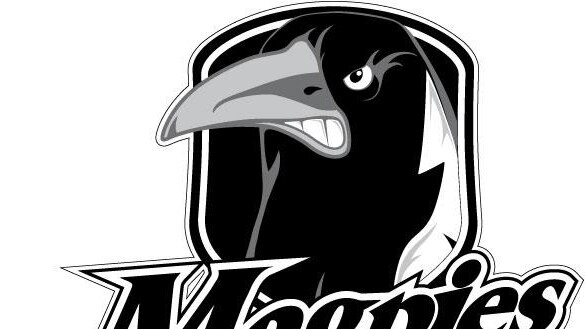 Lower Clarence Magpies logo