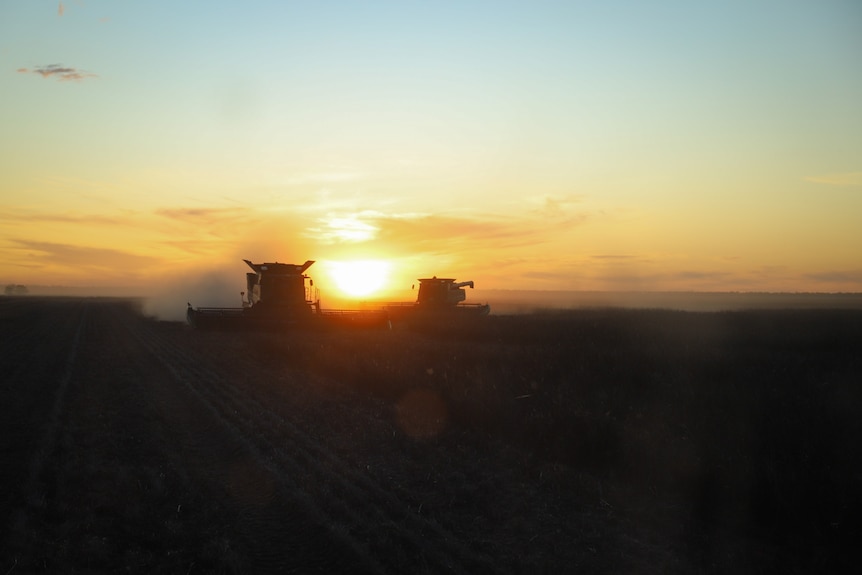 harvesters in the distance of a field, as the sun rises 