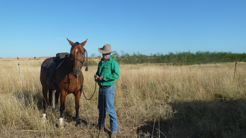 A man in a green shirt beside a horse in a paddock  