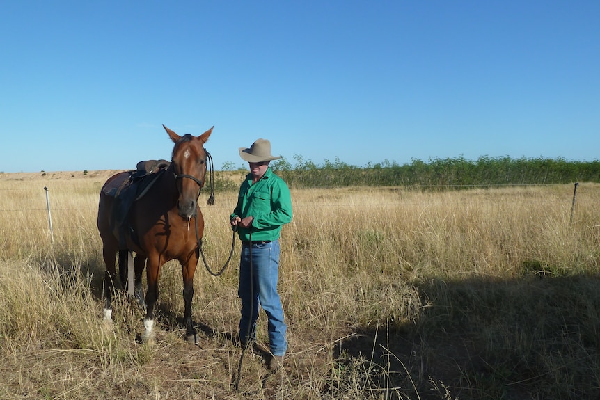 A man in a green shirt beside a horse in a paddock  