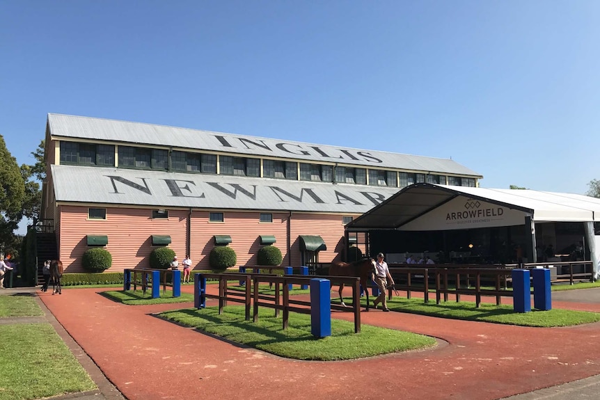 Newmarket sale yard