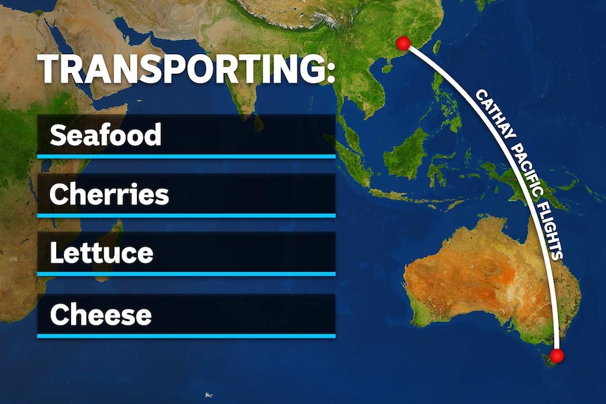 A graphic representation of freight flights transporting seafood, cherries, lettuce and cheese from Tasmania to Asia.