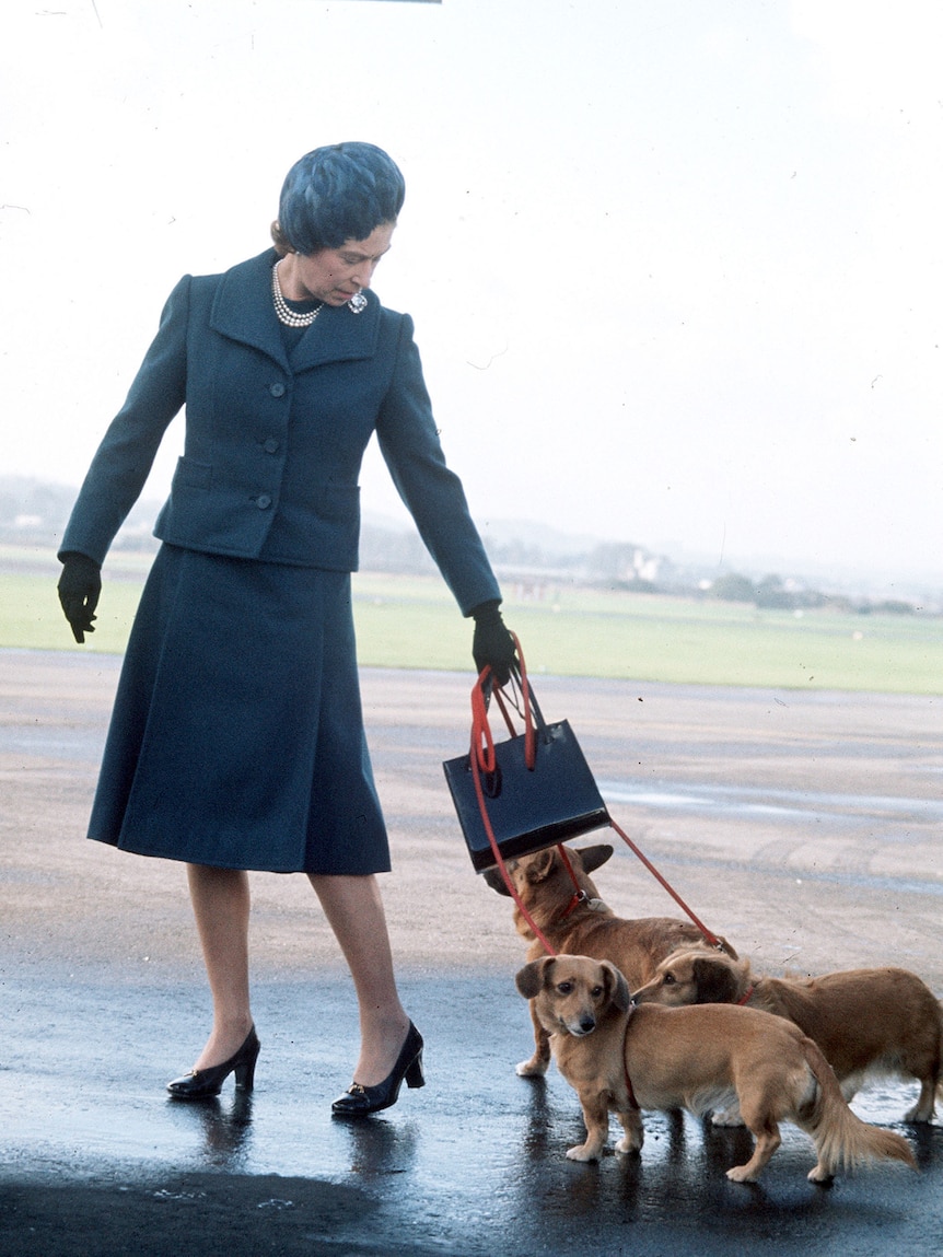 Queen Elizabeth, wearing a teal skirt suit and hat, stands with her corgis.