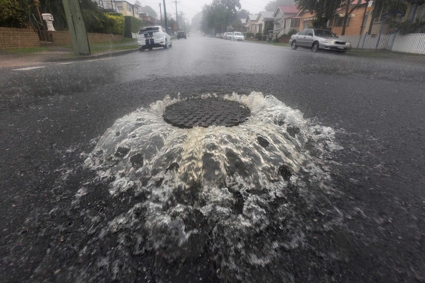 A manhole overflows with water in Newmarket after ex-cyclone Debbie.